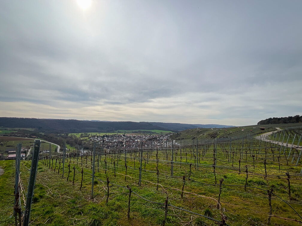 23-03-17 14-01-16 4914